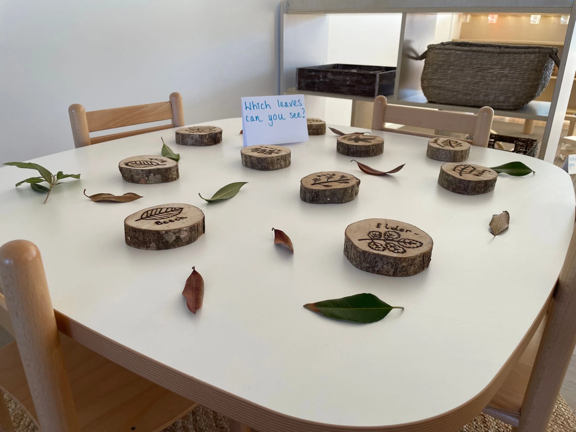 A table set with timber discs burnt with leaf names, loose leaves and a handwritten card reading 'Which leaves can you see?'