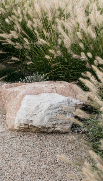 Reference image: large rocks set among soft feathery grasses.