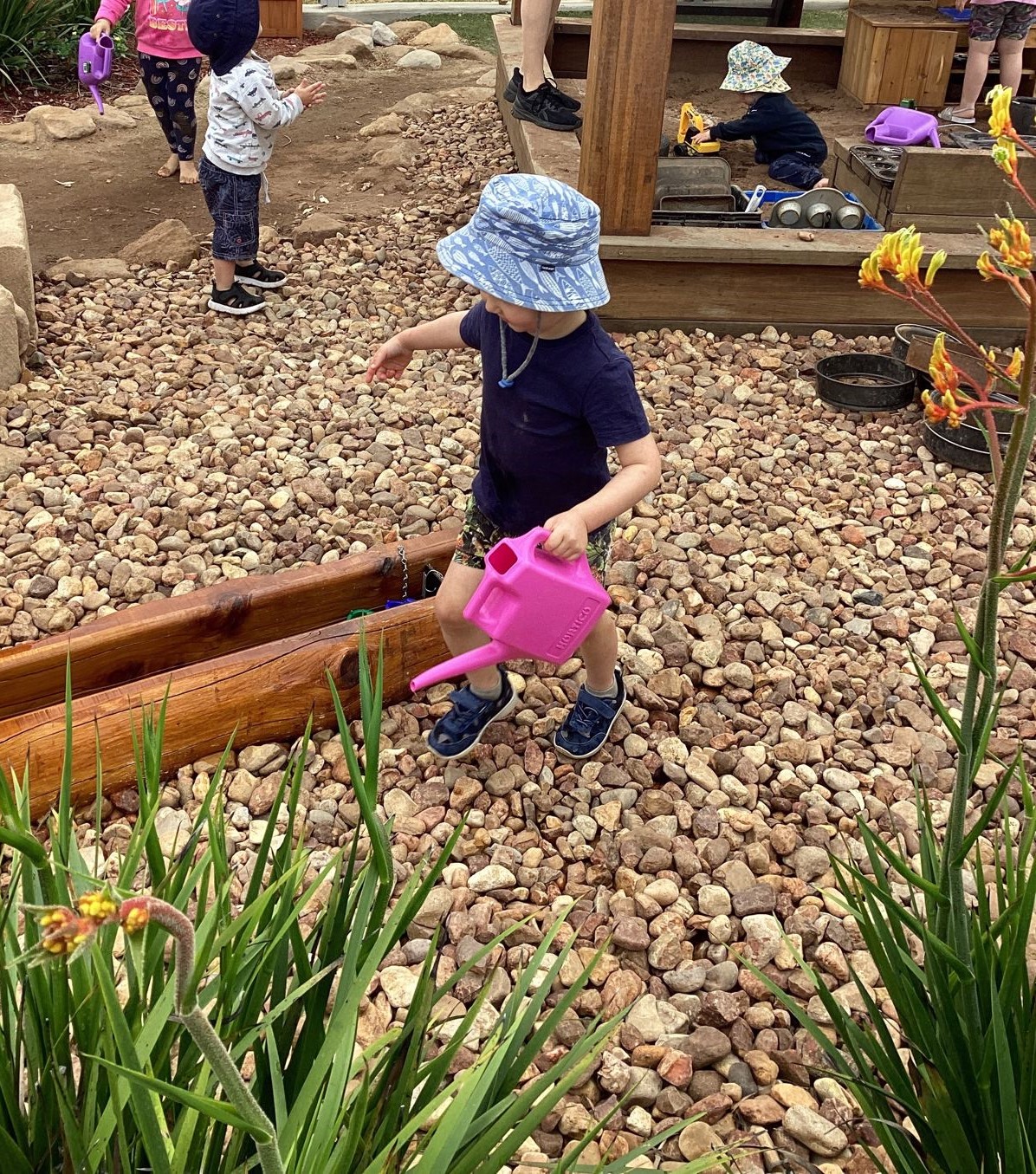 Children watering plants along the rock garden in the yard at First5Years Emerald.